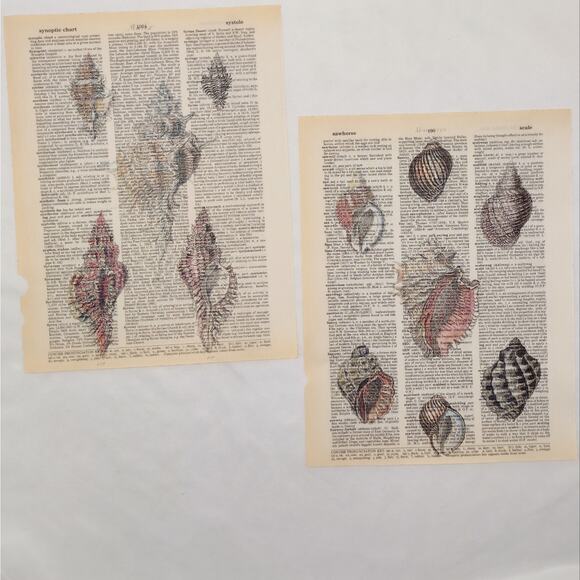 Seashells and Squids Dictionary Prints, Colorful Sea Prints, Book Page Prints - Picture 2 of 6